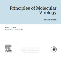 Image of Principles of molecular virology